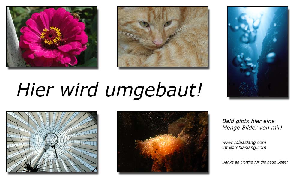 Hier wird umgebaut! Bald gibts hier eine Menge von mir!